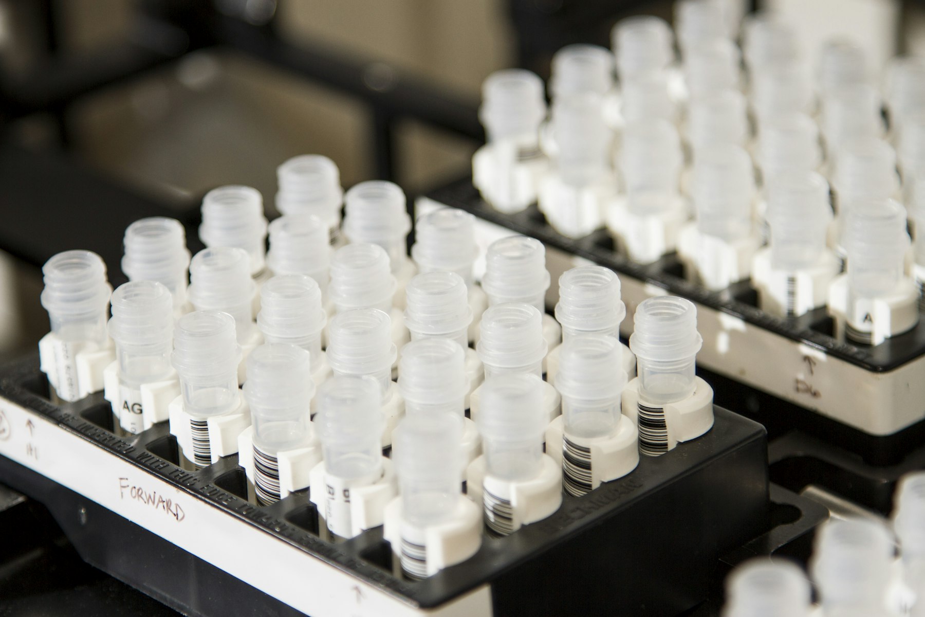 A rack of labelled sample vials on the laboratory bench